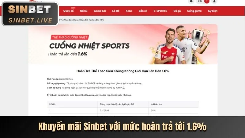 Hình ảnh tổng quan các môn thể thao đa dạng trên nền tảng 56wim04 chính thức